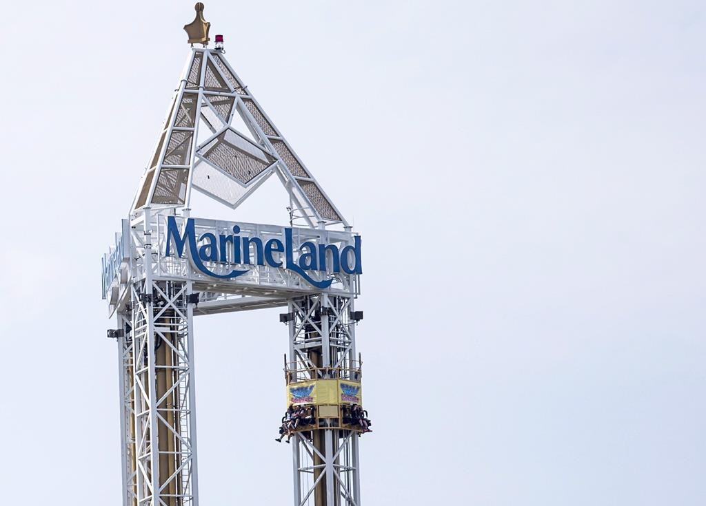 La parc Marineland de Niagara Falls, en Ontario, envisage de vendre