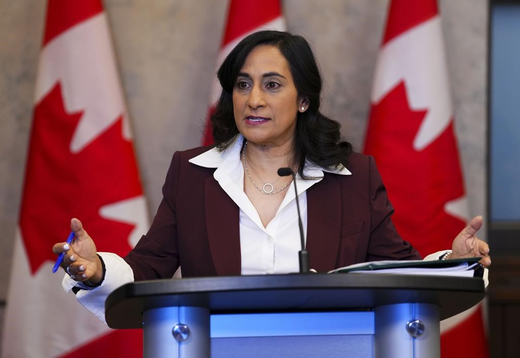 La ministre de la Défense fournira une mise à jour sur les avions de chasse