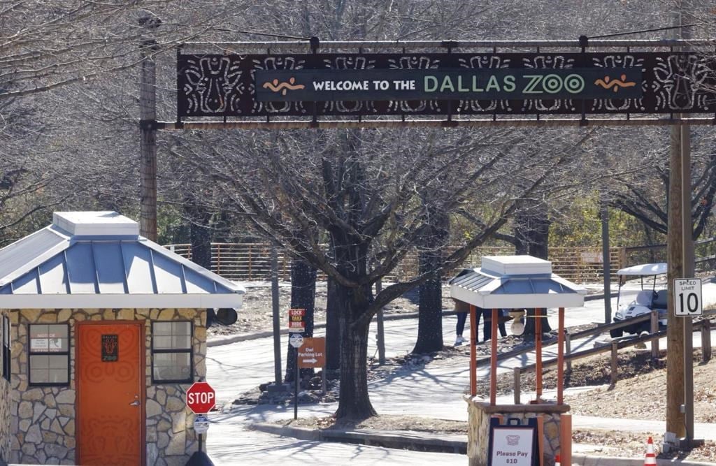 La police est à la recherche d'un léopard qui s'est échappé du zoo de Dallas