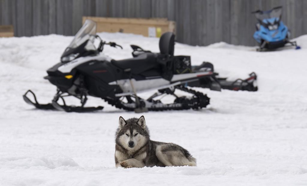 Semaine de relâche: prudence en motoneige et en quad, rappelle la SQ