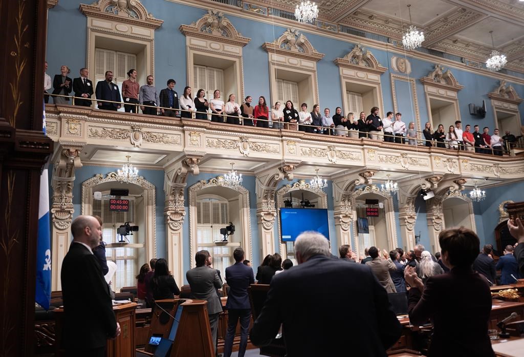 Trois équipes du Rouge et Or honorées à l'Assemblée nationale