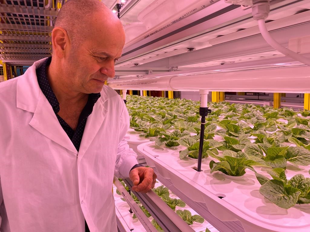 Le fédéral récompense les agriculteurs qui réduisent leur empreinte carbone