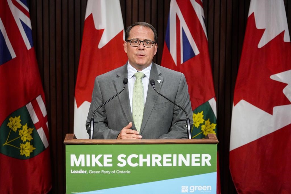 Sollicité par les libéraux, Mike Schreiner reste chef du Parti vert de l'Ontario