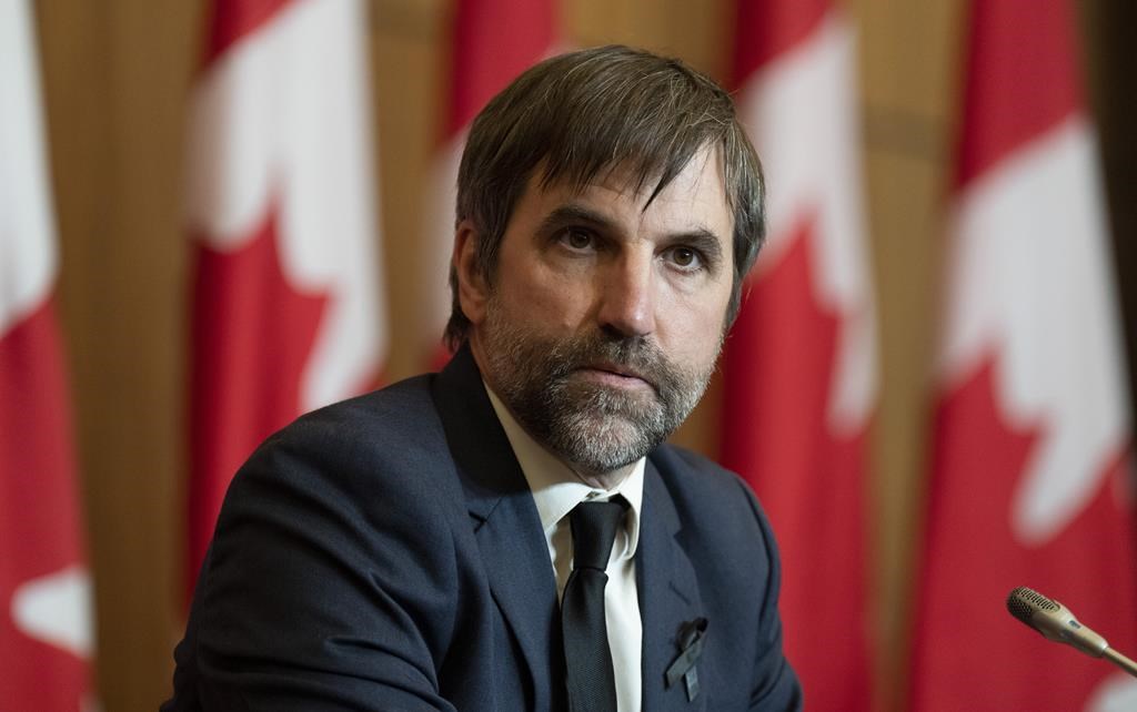 Bay du Nord: Équiterre et le Sierra Club se font entendre devant la Cour fédérale