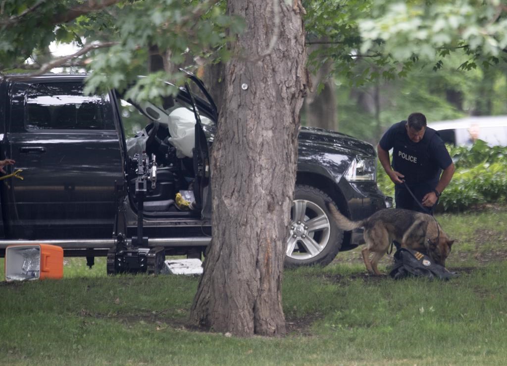 L'homme qui a défoncé les grilles de Rideau Hall perd l'appel de sa sentence