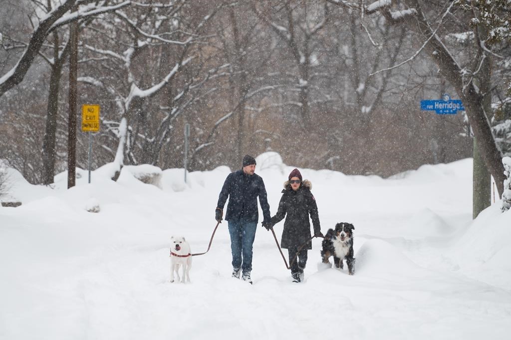 Des régions du sud de l'Ontario devraient recevoir entre 4 et 20 cm de neige vendredi
