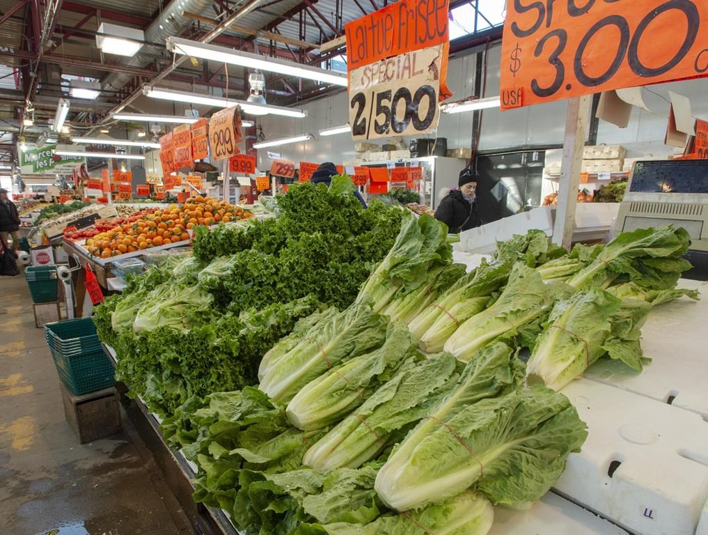 Le prix des paniers de légumes légèrement en hausse, mais sous l'inflation