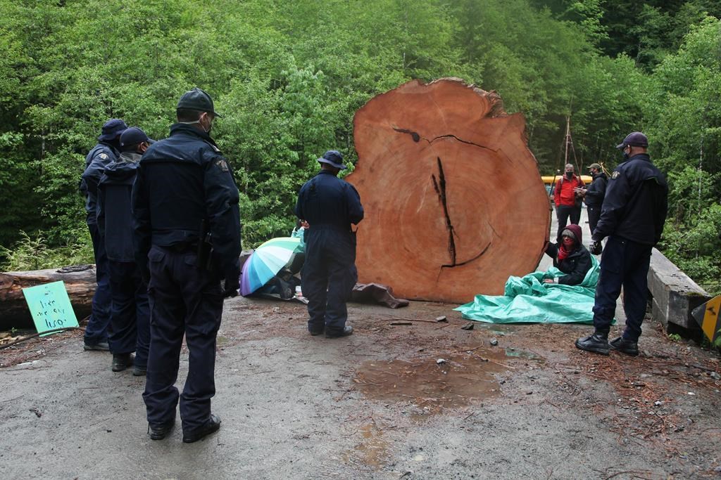 Le travail de la police contre les manifestations est scruté en Colombie-Britannique