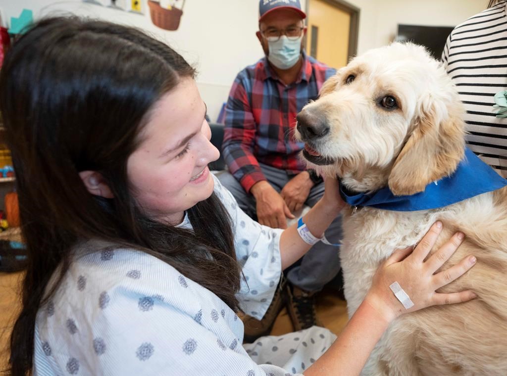 La magie de la zoothérapie à l'Hôpital de Montréal pour enfants