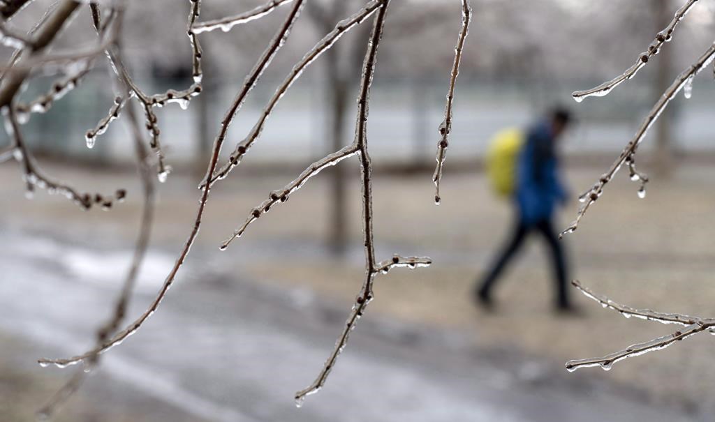 De la neige, de la pluie et du temps froid sont prévus au printemps
