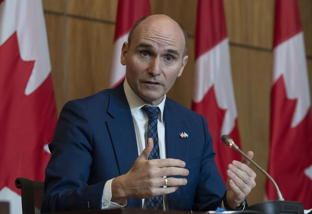 Ottawa veut que cessent les frais pour les consultations médicales virtuelles