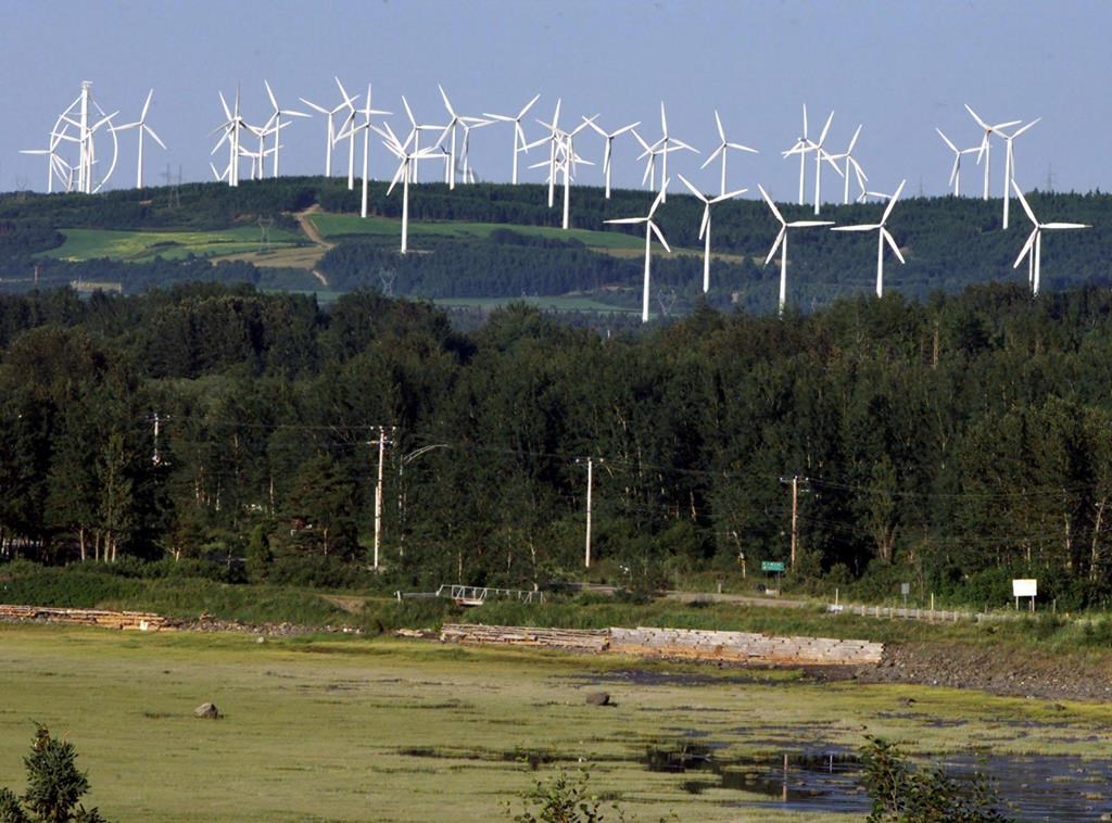 Pierre Fitzgibbon annonce un nouvel appel d'offres pour 1500 MW d'énergie éolienne