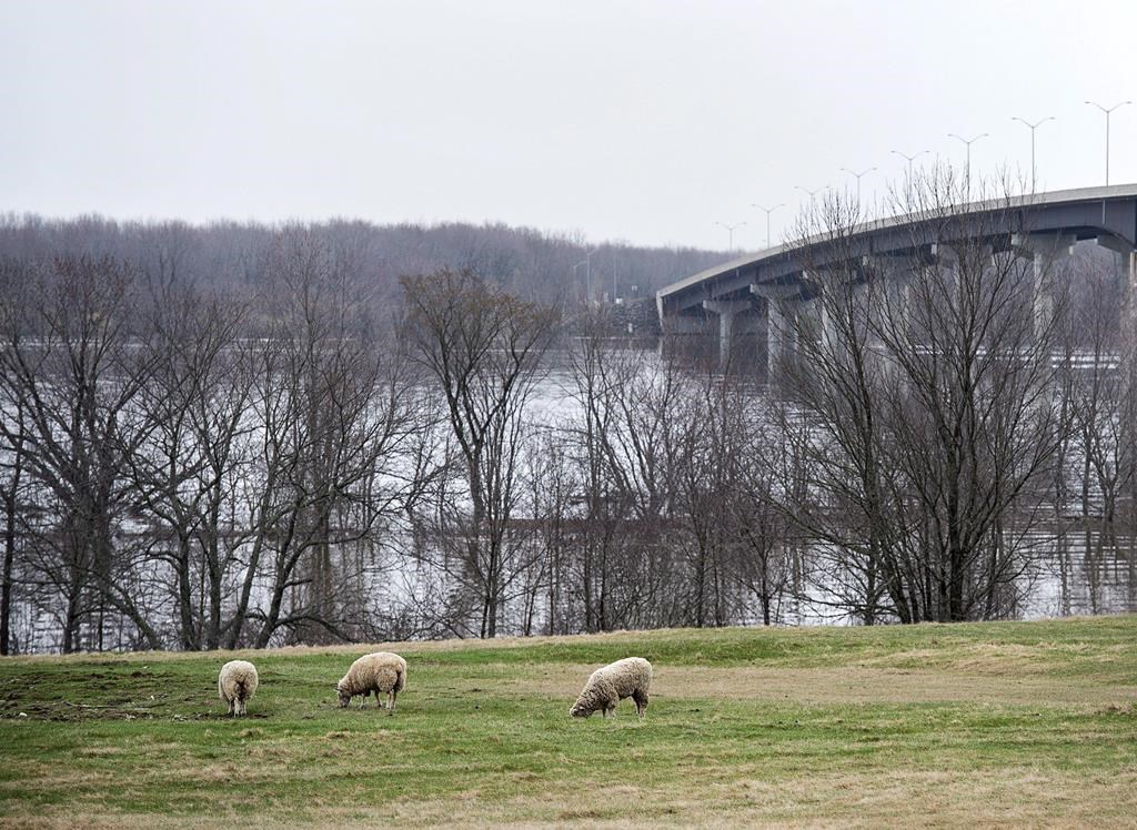 Le gouvernement du N.-B. ne veut pas redonner au fleuve Saint-Jean son nom malécite