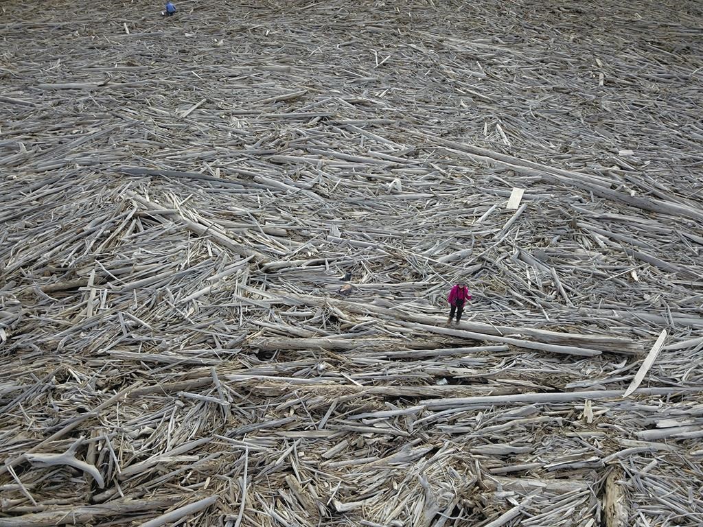 Des chercheurs étudient le plus long embâcle de bois dans l'Arctique canadien