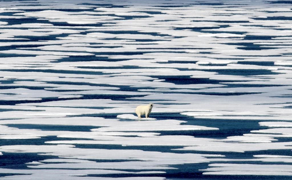 La fonte du pergélisol ouvre la porte à la dispersion massive de contaminants