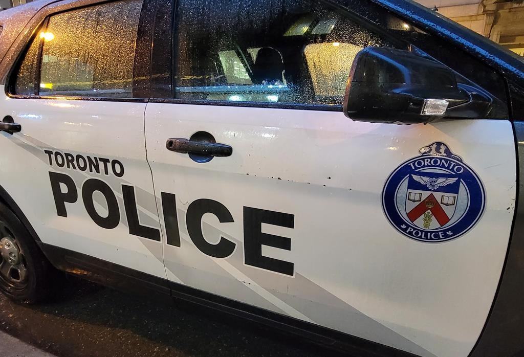 La police de Toronto saisit plus de 550 véhicules volés