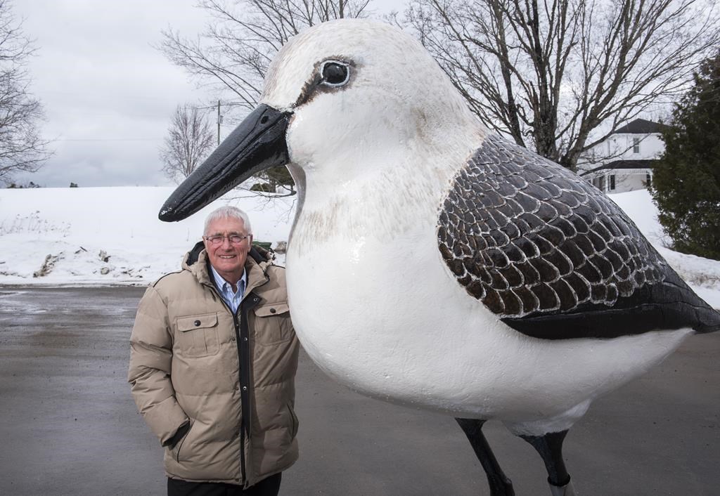 Une statue de bécasseau retourne à son perchoir dans un village du Nouveau-Brunswick