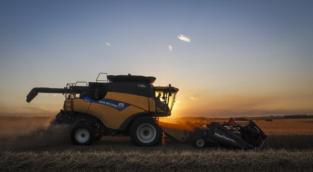 Plus de 40 % des agriculteurs prendront leur retraite d'ici 2033, selon un rapport
