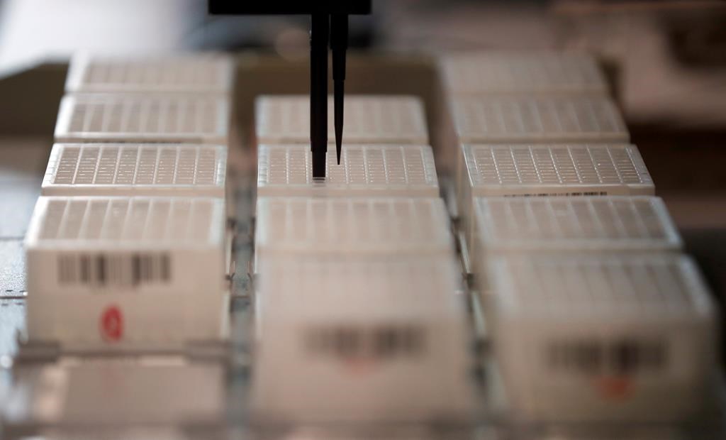 Des chercheurs britanniques identifient 60 nouvelles maladies génétiques rares