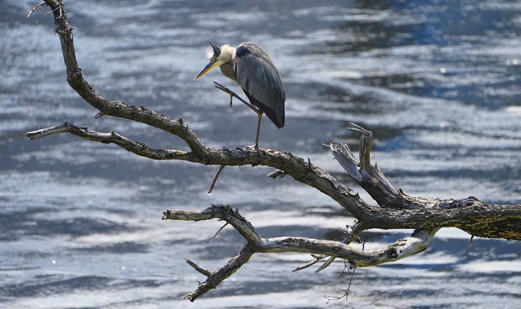 La crue des eaux persiste mardi matin au Québec, mais la situation semble stable