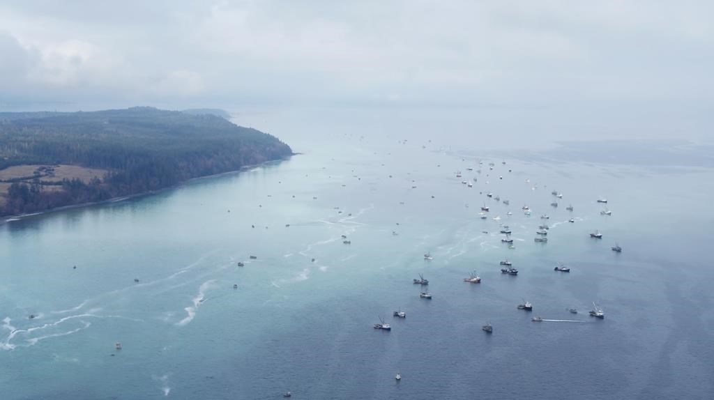 Un rassemblement dénonce l'absence de réglementation pour le démantèlement de navires