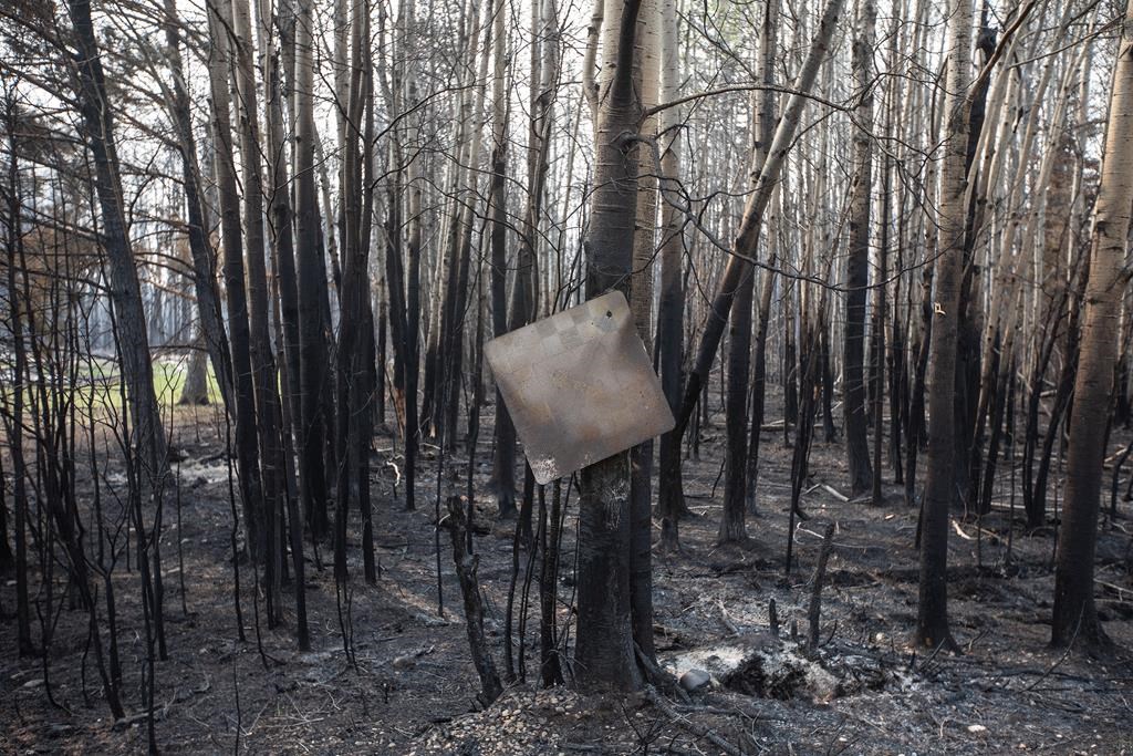 Retour de conditions sèches en Alberta, une activité plus intense des feux persiste
