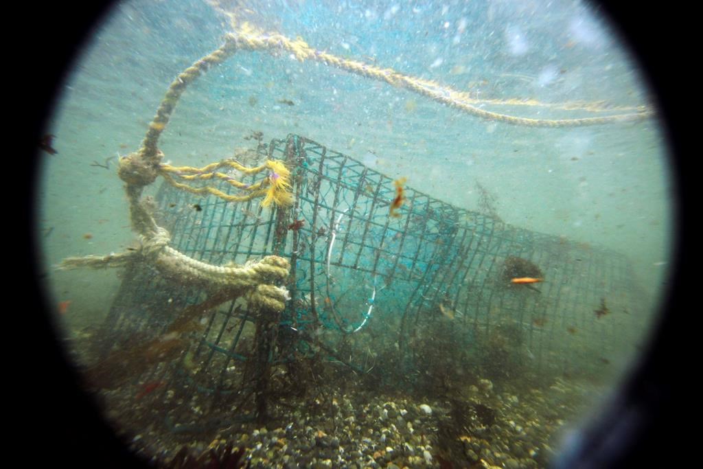 Les engins de pêche perdus et abandonnés sont nuisibles à l'écosystème marin