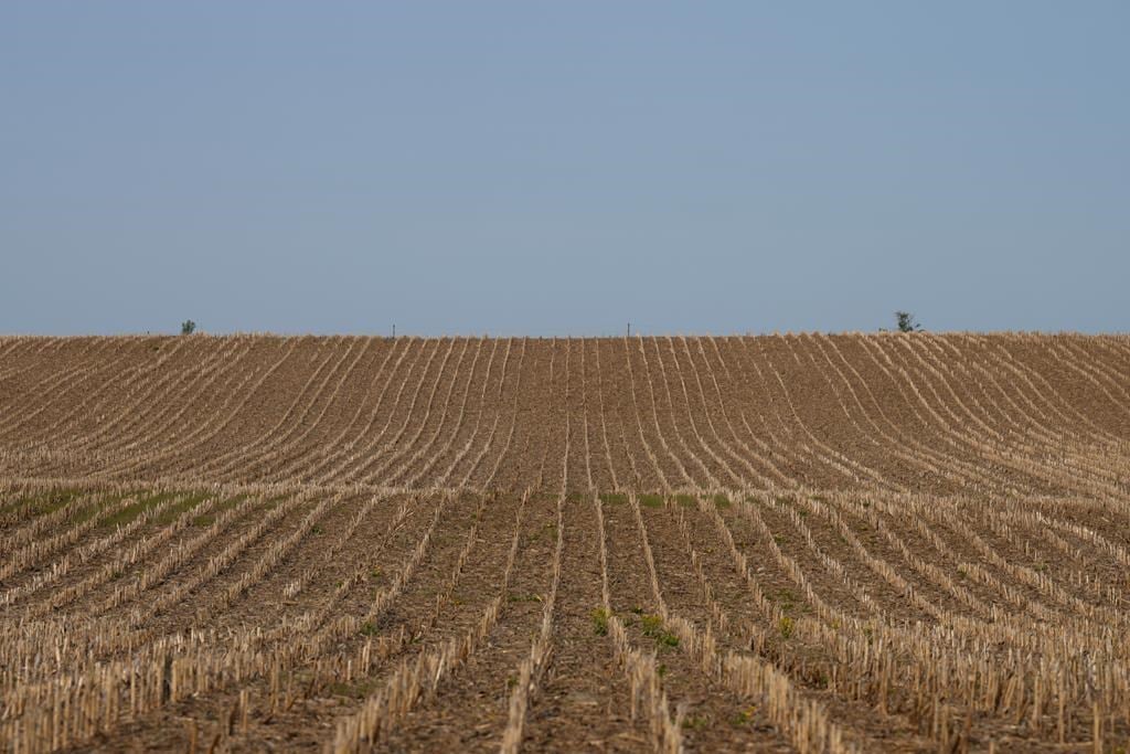 L'Ontario renonce à la construction de résidences sur des terres agricoles