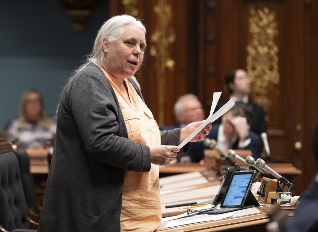 Des porte-parole trans ou non binaires, c'est possible à QS, évoque Massé