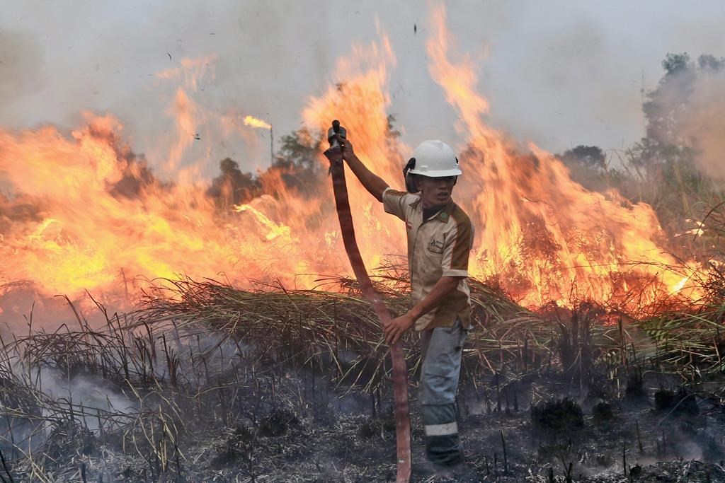 Nord de l'Alberta et de la Saskatchewan: évacuations à cause d'incendies de forêt