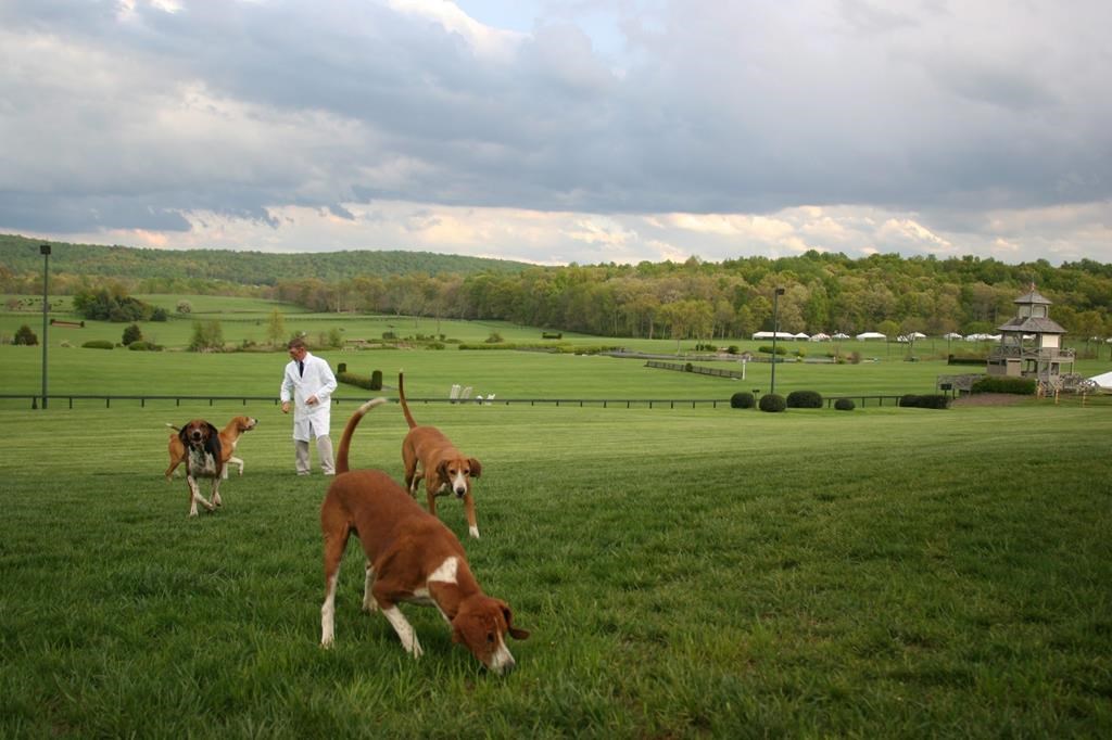 Le gouvernement ontarien veut élargir un programme pour les chiens de chasse