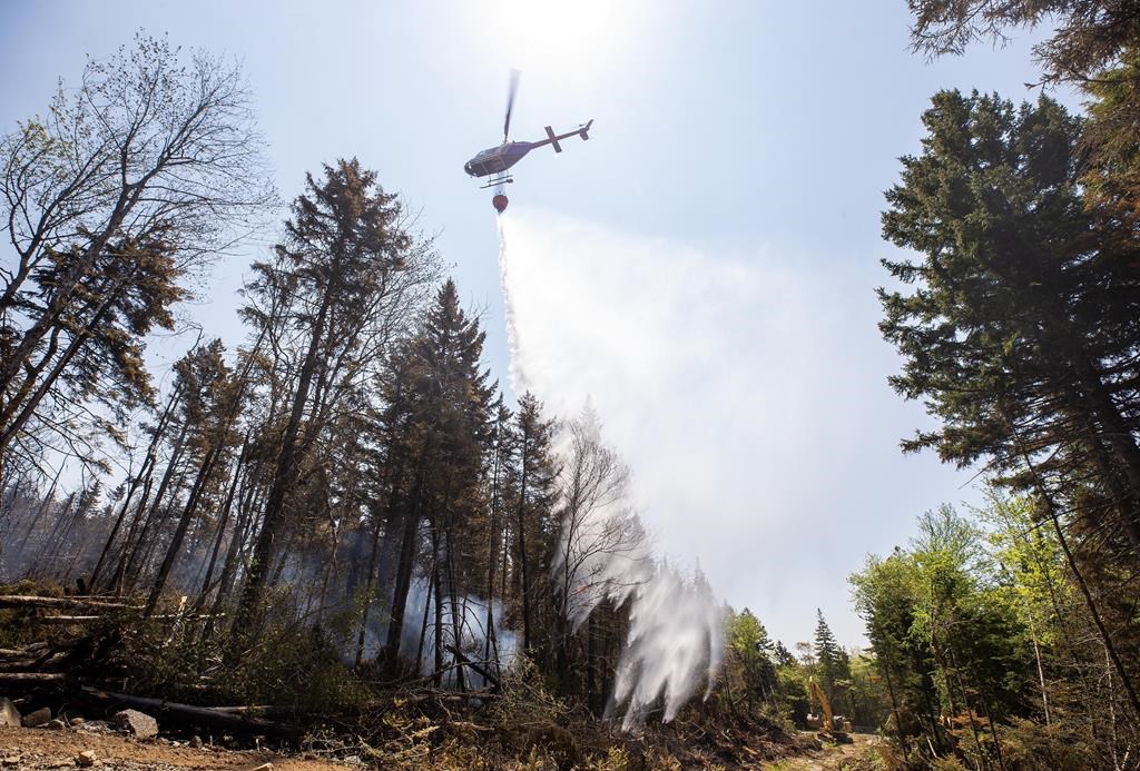 Nouvelle-Écosse: les incendies font rage, dont le plus large de l'histoire