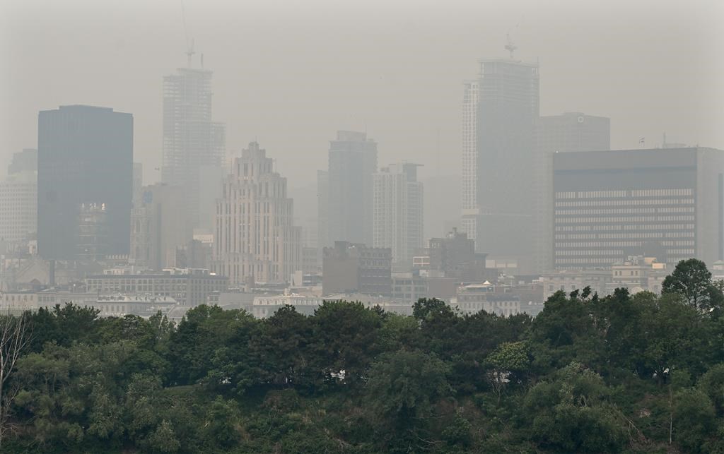 Feux de forêt: la qualité de l'air bientôt normale et la pluie arrive enfin au Nord