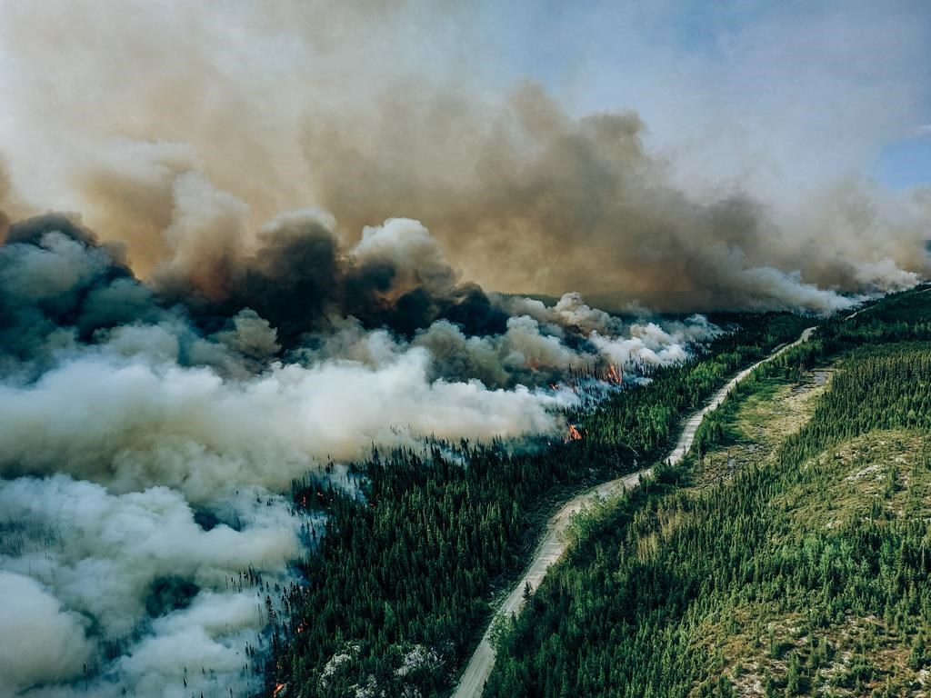 Passage en mode offensif pour combattre les feux de forêt au Québec