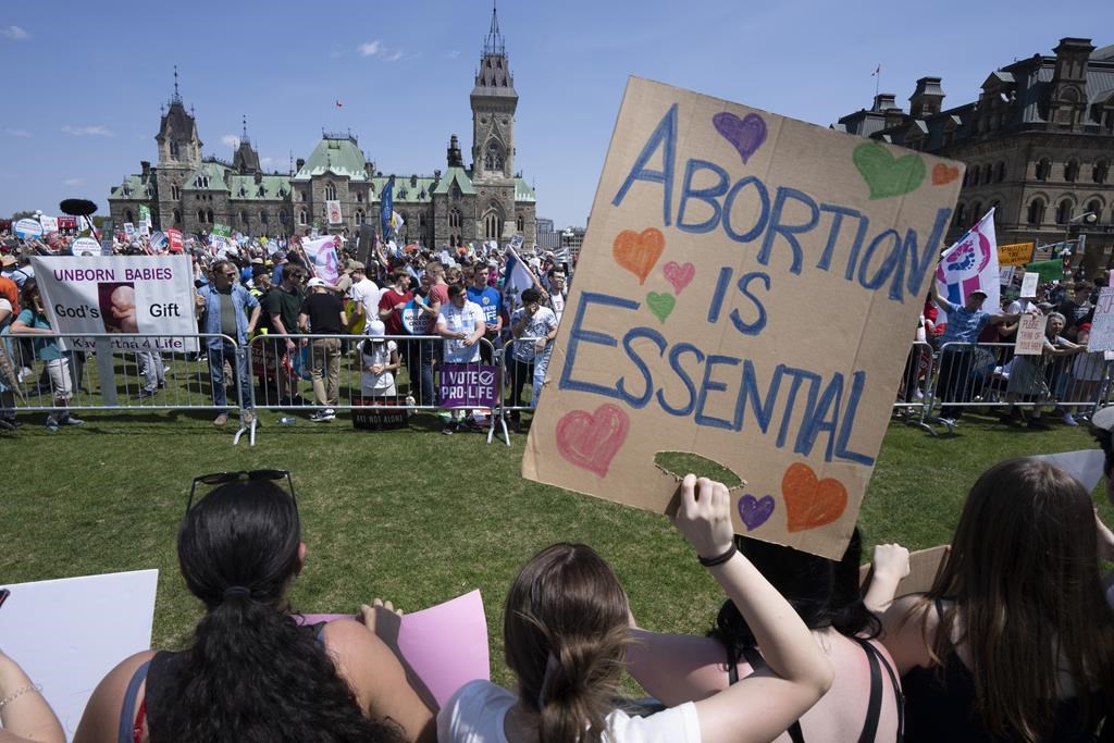 Le projet de loi sur la violence à l'encontre des femmes enceintes est rejeté