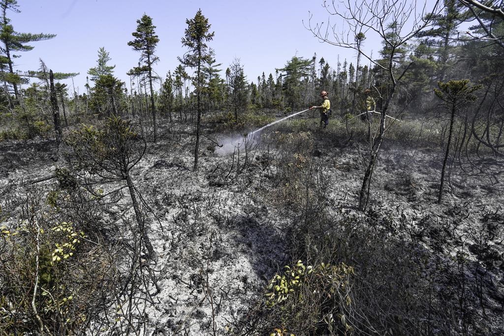 Le gigantesque feu de forêt en Nouvelle-Écosse est «contenu» pour l'instant