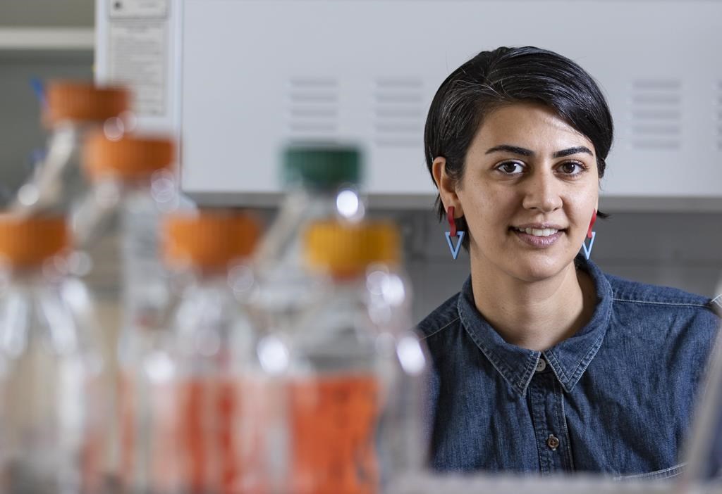 Un nouveau laboratoire montréalais veut paver la voie à une cure au diabète de type 1