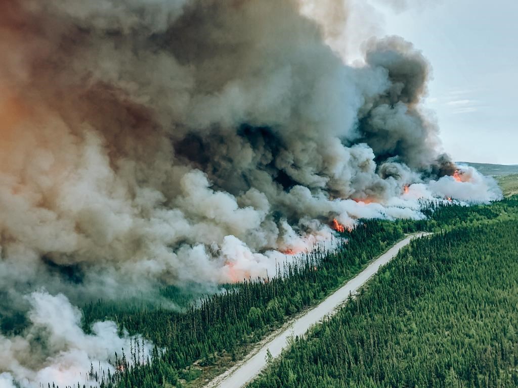 Incendies de forêt: près d'un million d'hectares affectés au Québec