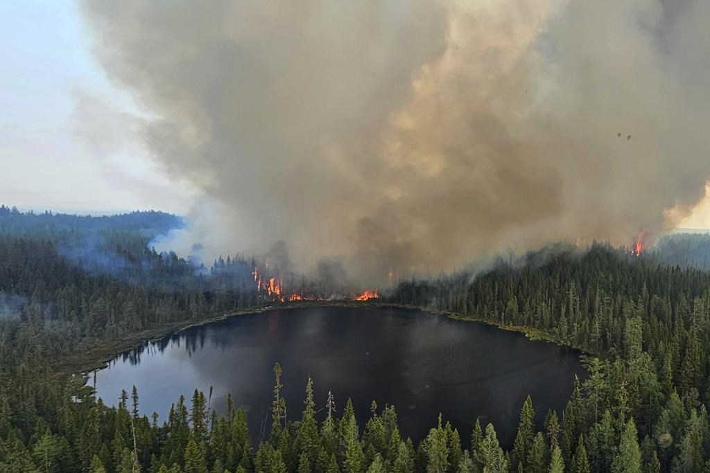 Interdiction d'accès en forêt: Québec élargira le territoire à midi, lundi