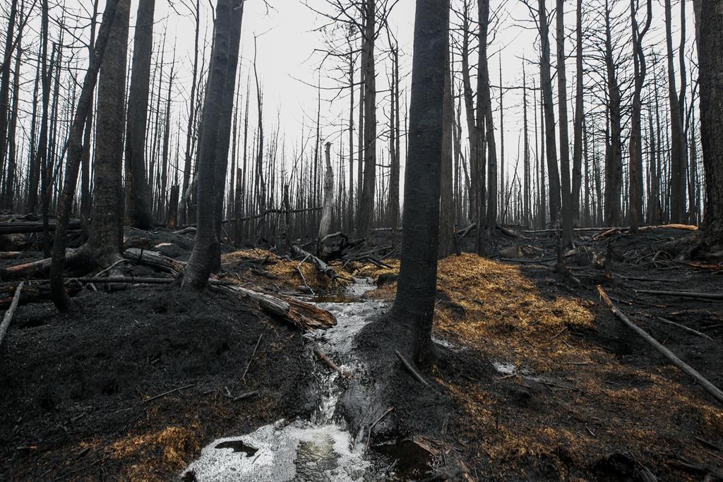 Des détecteurs à infrarouge pour localiser les «points chauds» du feu de Shelburne