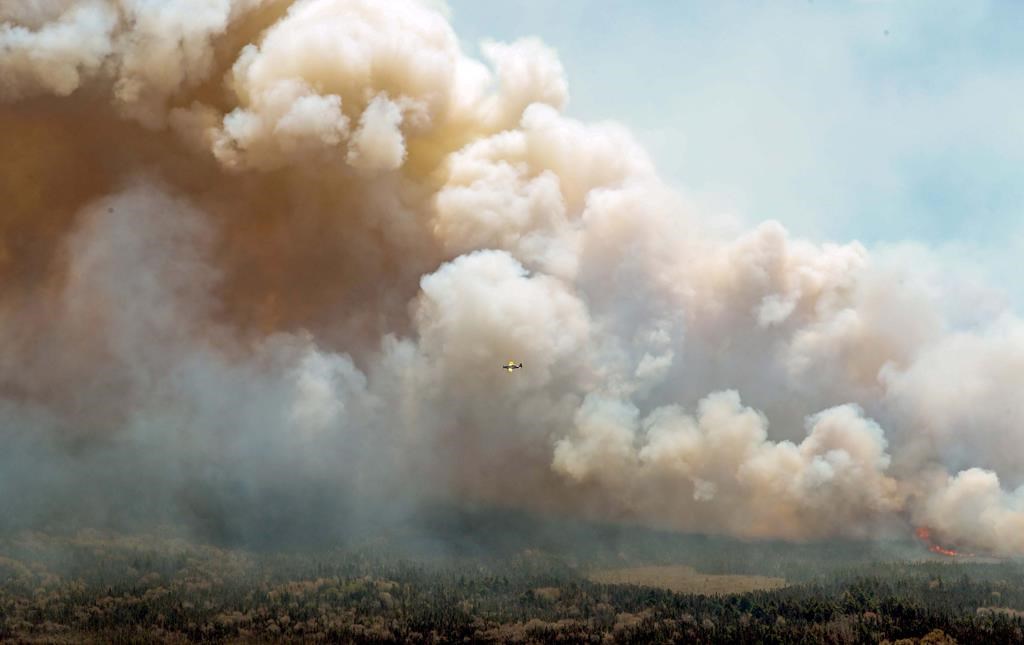 La Nouvelle-Écosse doit se préparer à plus de feux de forêt, préviennent des experts