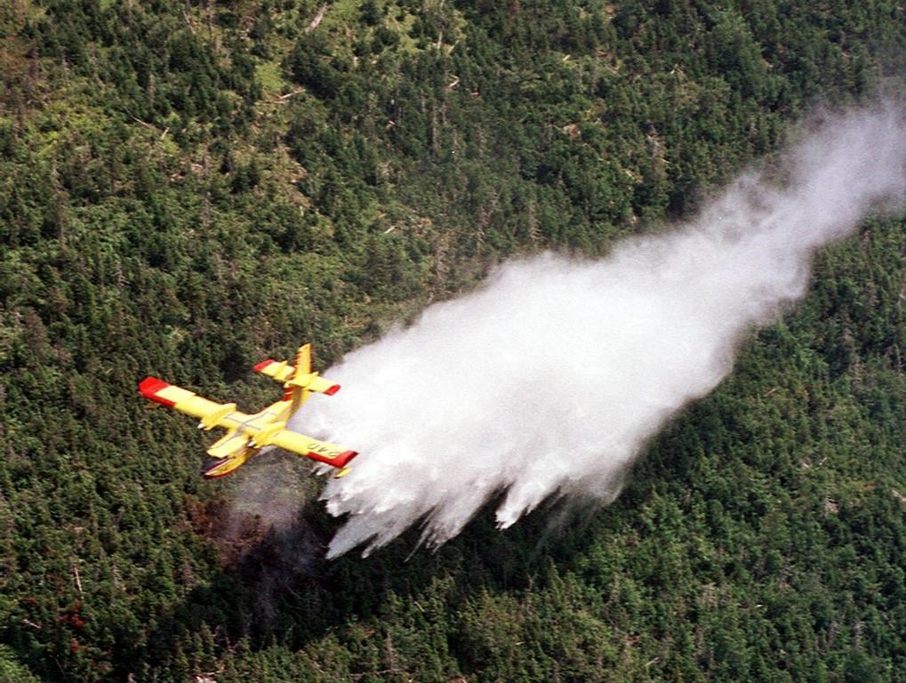 Les combattants font l'impossible pour empêcher la progression des incendies de forêt