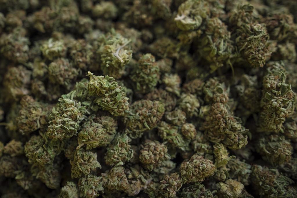 Des Premières Nations «exclues» du marché légal du cannabis, déplorent des sénateurs