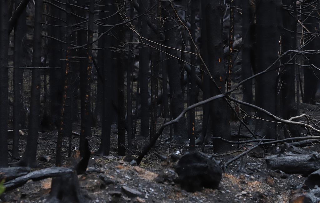 Tous les incendies de forêt sont maîtrisés en Nouvelle-Écosse