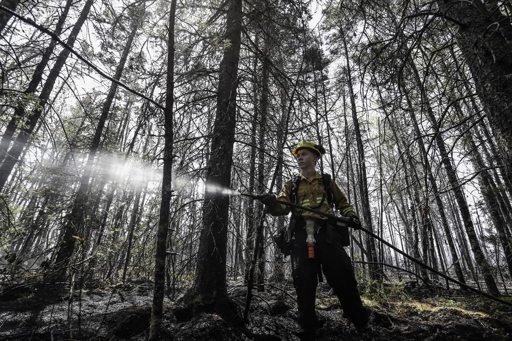 Des centaines de pompiers internationaux en renfort pour combattre les feux au Canada
