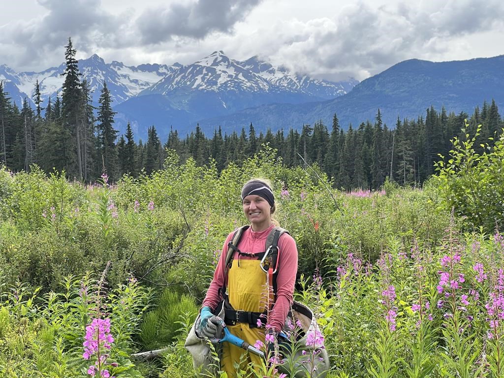 Une Canadienne plante 4500 arbres en un jour et devient virale sur le Web