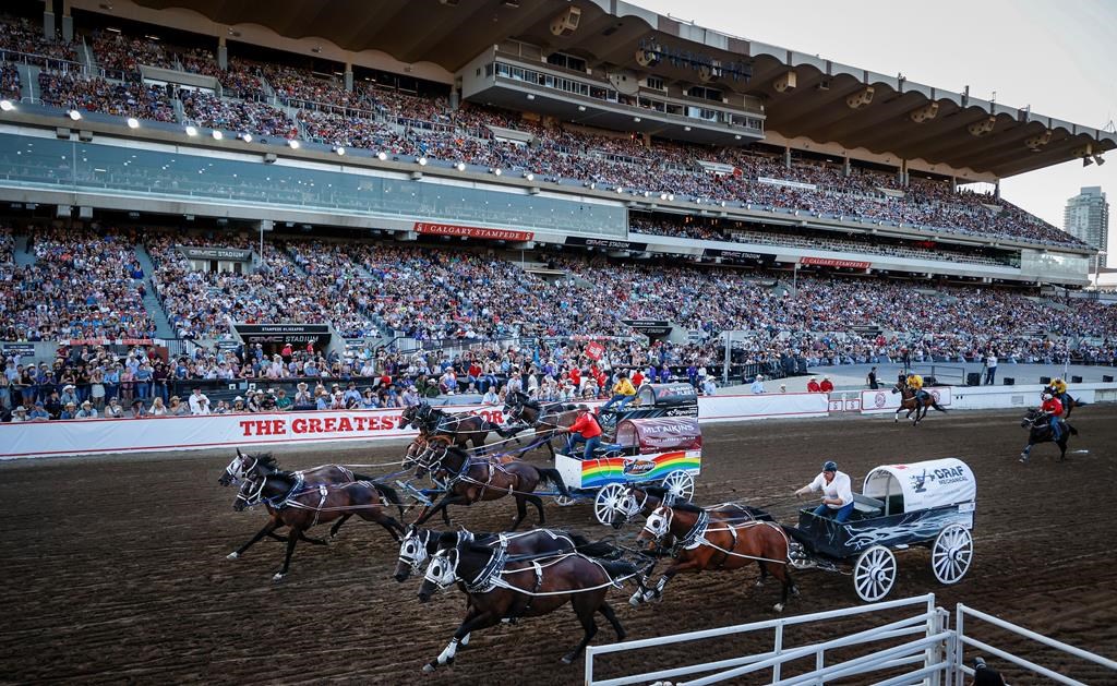 Un cheval euthanasié au Stampede de Calgary après s'être blessé