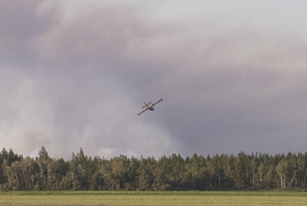 L’industrie forestière «laissée à elle-même» avec les conséquences des feux de forêt