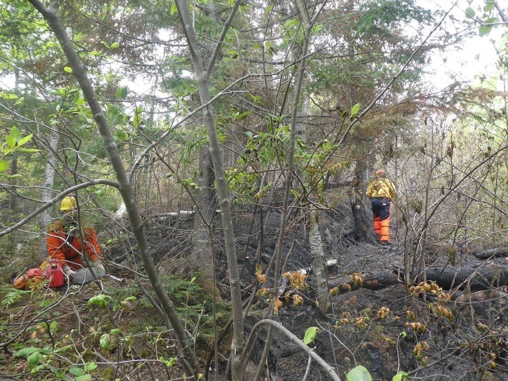 Nord du Québec: possibilités d'averses en début de semaine, pas de pluie continue
