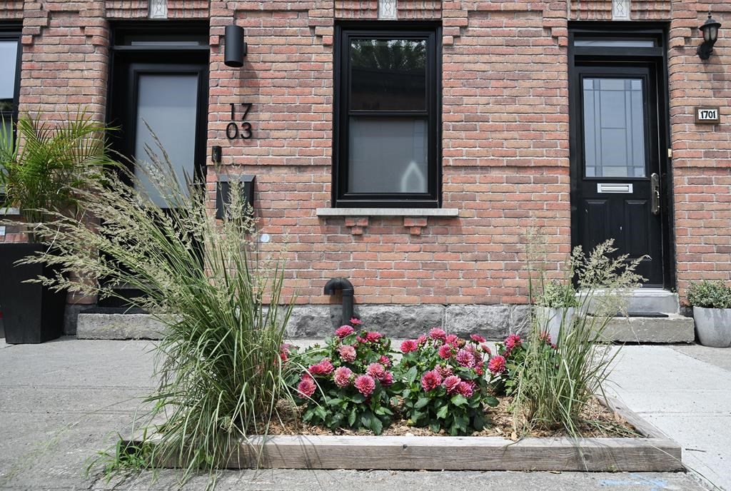 Permettre aux citoyens d'installer un jardin sur le trottoir peut avoir des bénéfices